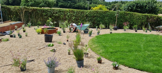 Plant sourcing and planting